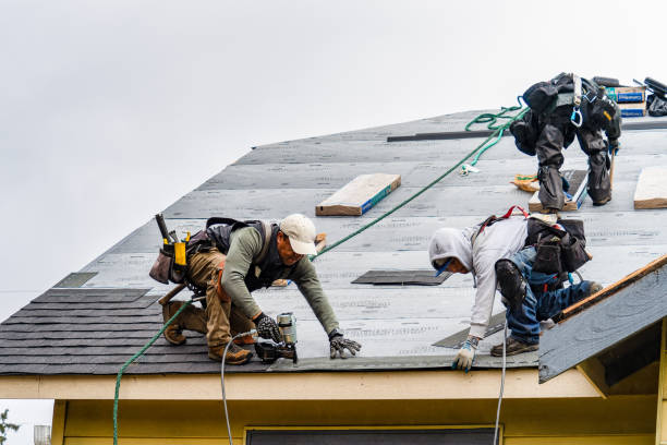 Professional Roofing technician working in Lula, GA